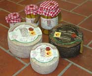 Venta de Quesos de Primera Calidad